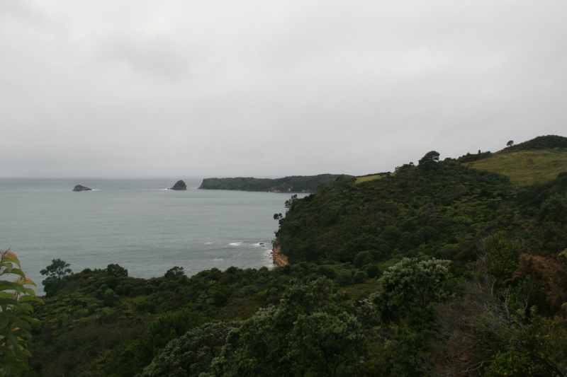 Nieuw-Zeeland 2011 - 0434